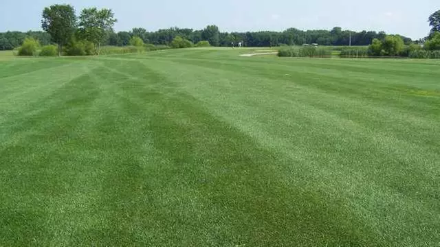 Online Booking - Round of Golf at Moweaqua Golf Course - Primary Image