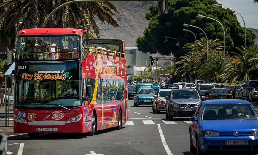 Image 11: Tour en autobús turístico por Santa Cruz de Tenerife