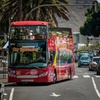 Image 11: Tour en autobús turístico por Santa Cruz de Tenerife