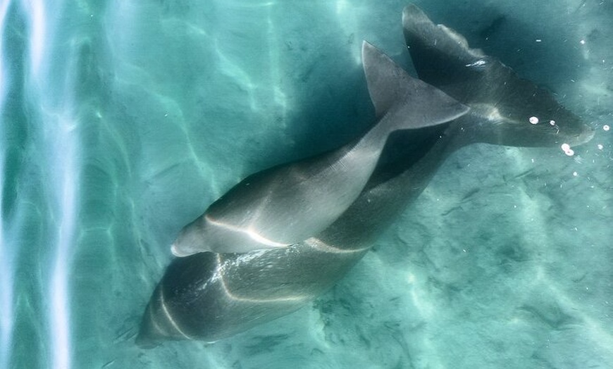 Image 3: Island Life Adventures | A Day at Dirk