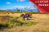 6 Day Tour: Grand Teton, Yellowstone, Rocky Mountain, and Colorado Hot Spring