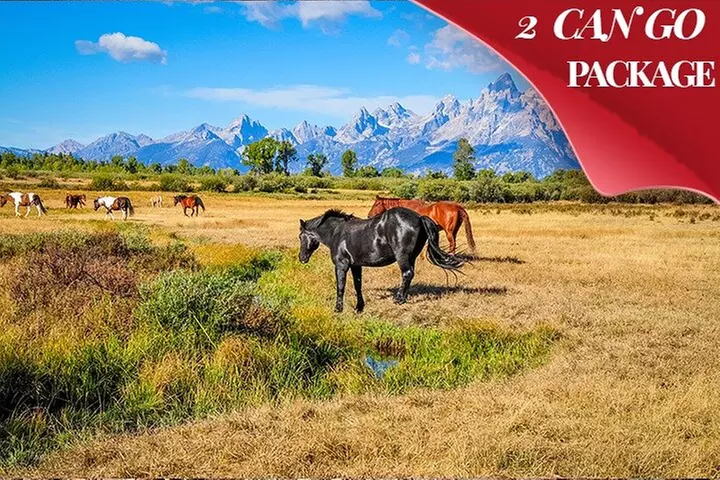 6 Day Tour: Grand Teton, Yellowstone, Rocky Mountain, and Colorado Hot Spring - Primary Image