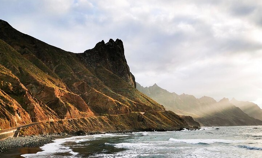 Image 7: Tour privado por Tenerife con guía en clase Mercedes V