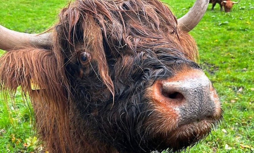 Image 4: Private 3 Day Tour to Skye Loch Ness and Glencoe from Glasgow