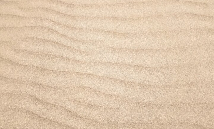 Image 9: Descubre Fuerteventura en un día