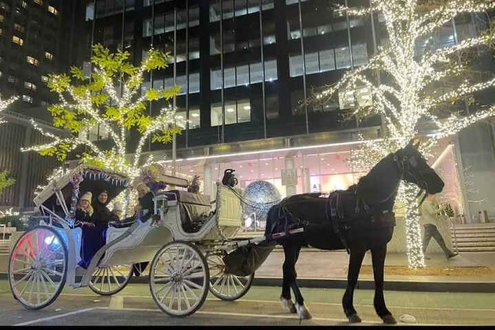 Luxury Horse and Carriage Rockefeller and Christmas lights tour - Second Medium