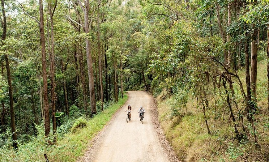 Image 5: Byron Bay Discovery Day from Gold Coast