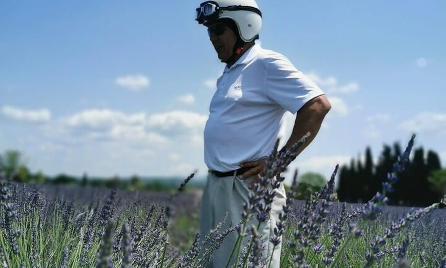Image 2: Aix-en-Provence : Circuit des Lavandes et Vignobles en Sidecar