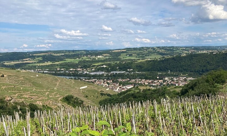 Image 3: Visite et Apéro des Coteaux entre Côte Rôtie et Condrieu