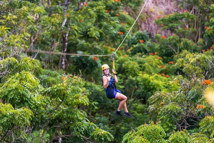 Big Island: 8-Zipline & Suspension Bridge Waterfall Adventure