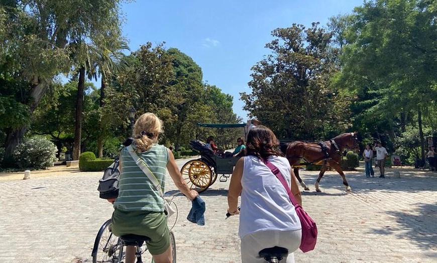 Image 10: Recorrido en bicicleta por Sevilla con alquiler de bicicleta de día...