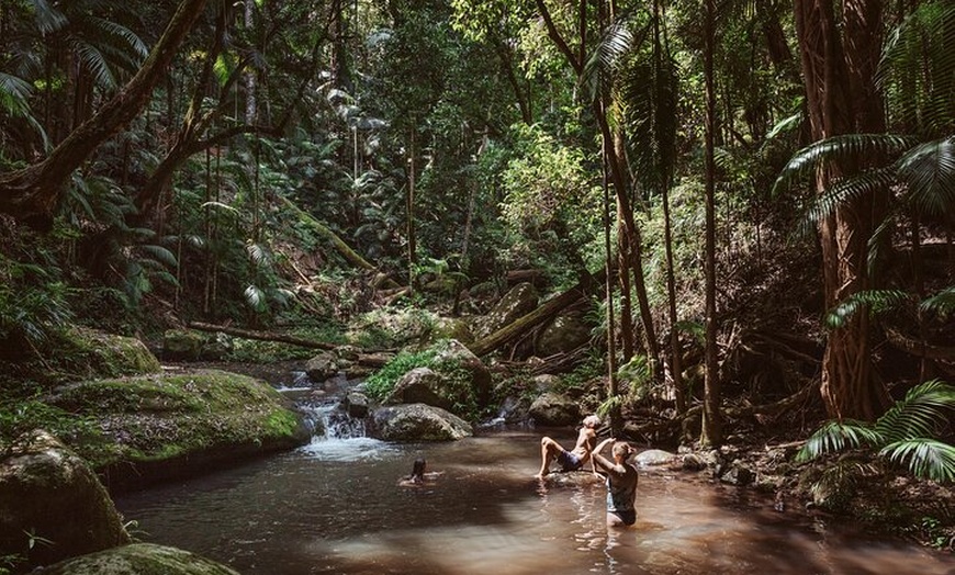 Image 9: Nature Immersive Fully Catered Glamping Retreat