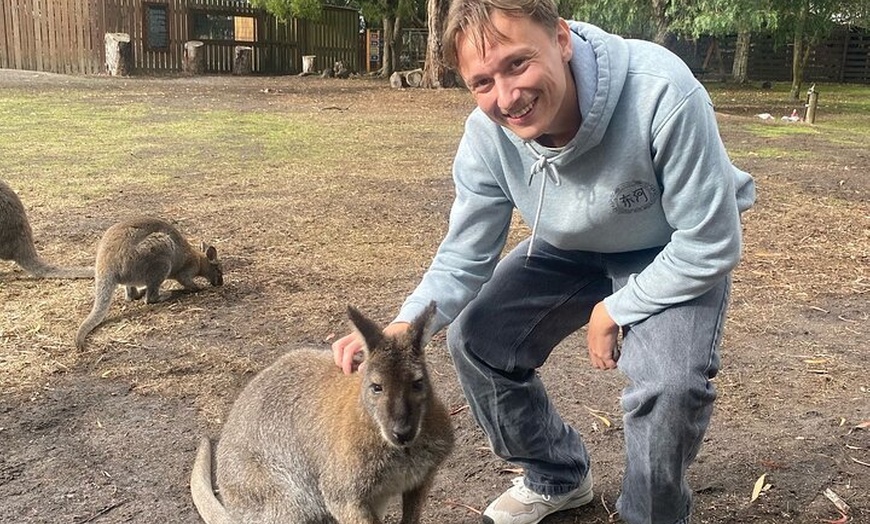 Image 9: Great Ocean Road Small Group Tour with Dingos, Sparkling & Lunch