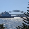 Image 1: Guided Walking Tour in Sydney City with Lunch