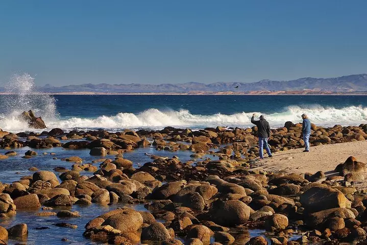 Monterey, Pebble Beach and Carmel Tour With Optional Aquarium