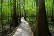 Congaree National Park Self Guided Audio Walking Tour - Second Medium