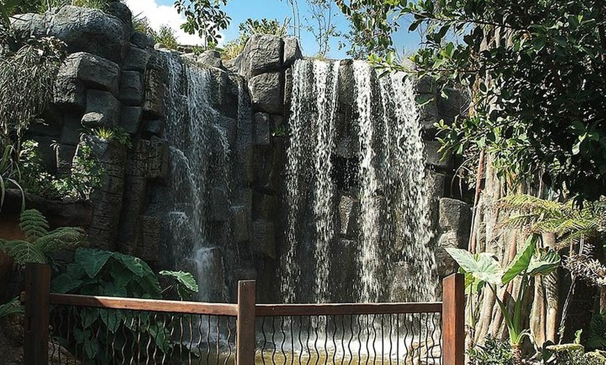 Image 7: Acuario de Palma con autobús de vuelta desde Port Alcudia