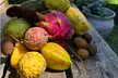 Exotic Fruit Tasting Tour in Kona - Second Medium