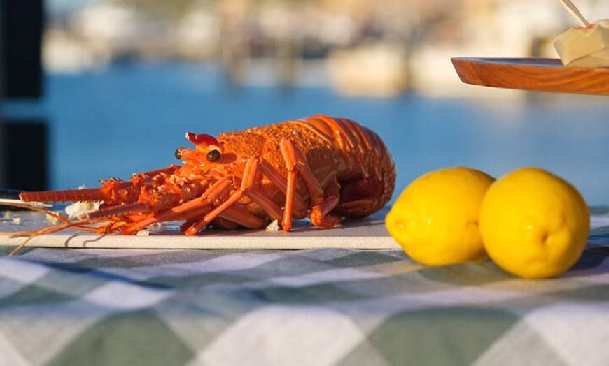 Image 8: Behind-The-Scenes Ocean Harvest Tour