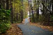 Magical Golf Cart Tour Through Peachtree City Trails - Second Medium