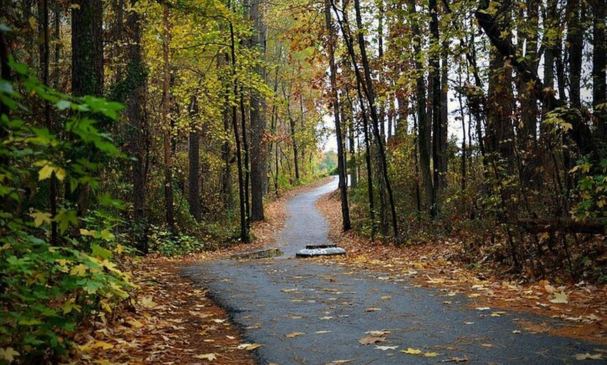 Image 6: Magical Golf Cart Tour Through Peachtree City Trails
