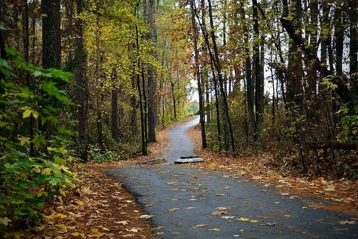 Magical Golf Cart Tour Through Peachtree City Trails
