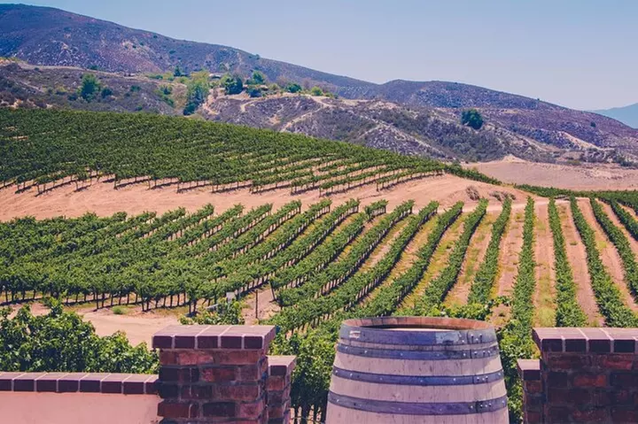 Private Temecula Wine Tour in Mercedes Convertible for up to 18 Guests - Second Medium