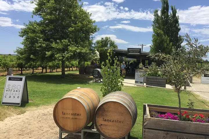 Swan Valley Wine Tour - Full Day - Primary Image