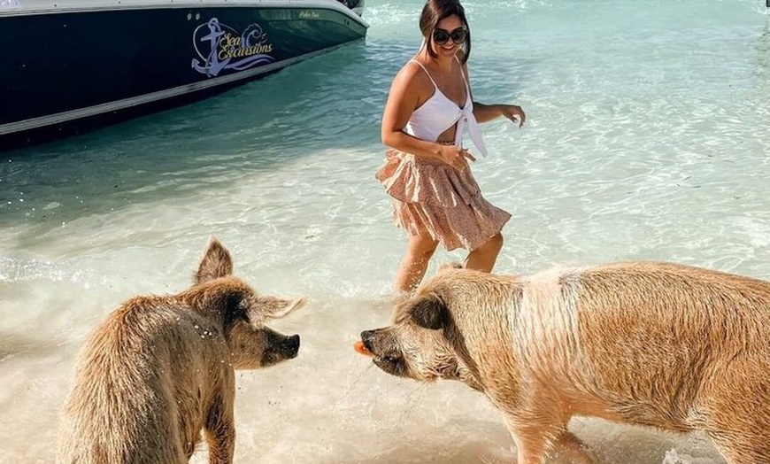 Image 2: Ultimate Exuma Cays Experience: Full-Day Group Tour from Nassau