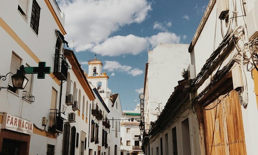 Image 6: Excursión de un día a Córdoba desde Sevilla con visita guiada