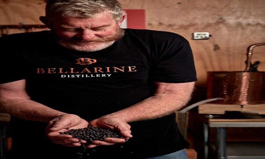 Image 3: Discover Bellarine Wine, Cider and Craft Beer with Private Bus