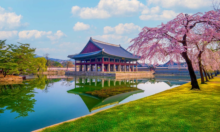 Image 6: ✈ COREA DEL SUD | Da Seoul a Tokyo - Il viaggio attraverso il Giapp...