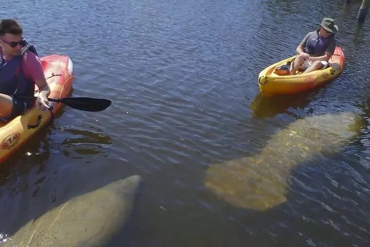Half Day Kayak or SUP Rental (3hr) - Bunche Beach - Second Medium
