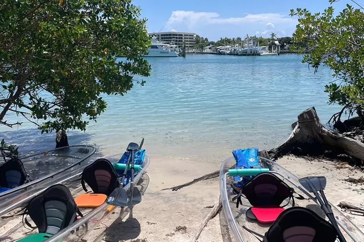 Guided Clear Kayak Eco-Tour of Jupiter