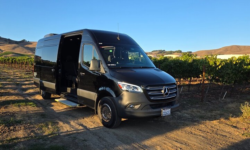 Image 7: Exclusive Private Custom Napa Valley Wine Tour in a Fun Van