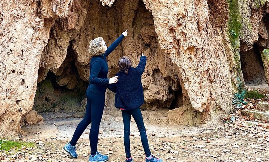 Image 6: Explora el Monasterio de Piedra y el Reino de Aragon desde Madrid