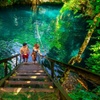 Image 2: ATV Adventure, Interactive Bridges, Ziplines, Cenote and Lunch
