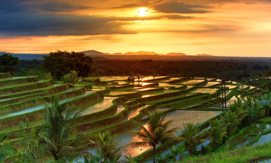 Image 4: ✈ INDONESIA | Bali, Lombok e Gili Trawangan - Fuga Tropicale a Bali...