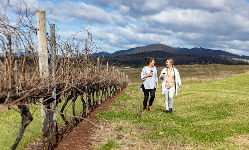 Image 20: 14 Day Tour from Sydney to Cairns Fraser Island and Whitsundays