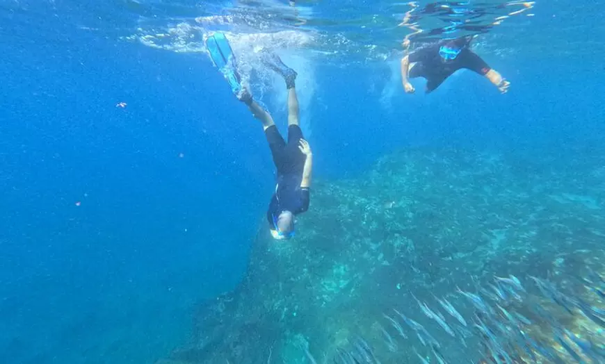 Image 4: Avistamiento de Tortugas y Delfines de Tour de Kayak y Snorkeling