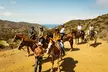 Private Horse Trail and Canyon Ride on Catalina Island - Image 2
