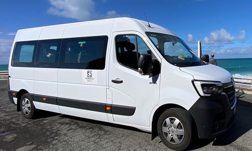 Image 2: Experience Ocean Road Tour in Italian Language