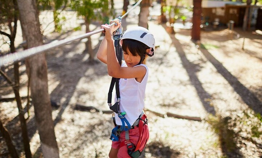 Image 5: Forest Adventures