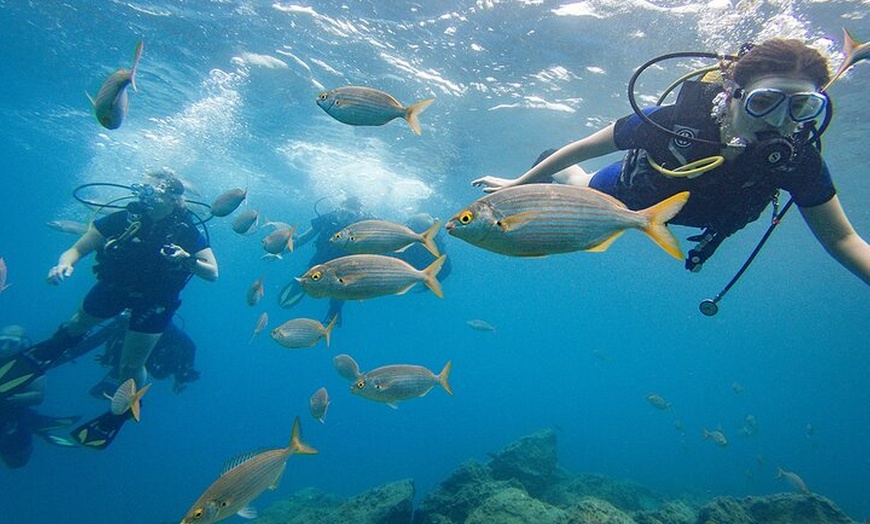 Image 8: Descubre la aventura del buceo en Tenerife