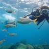 Image 8: Descubre la aventura del buceo en Tenerife