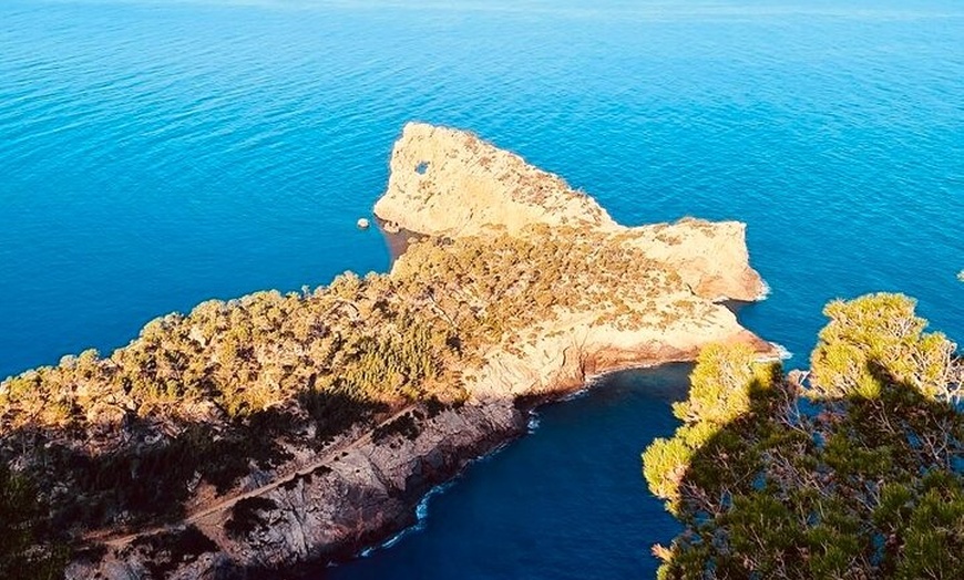 Image 4: Tour privado en barco con patrón