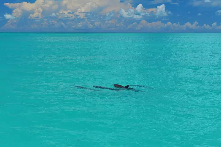 Key West Day Trip from Miami with Activities