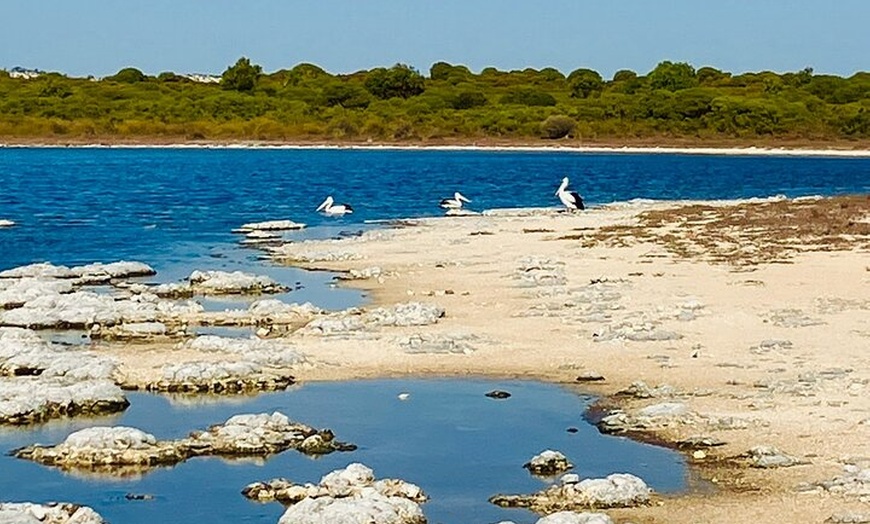 Image 11: 4WD Pinnacles Desert Turquoise Coast and Sand Boarding Adventure