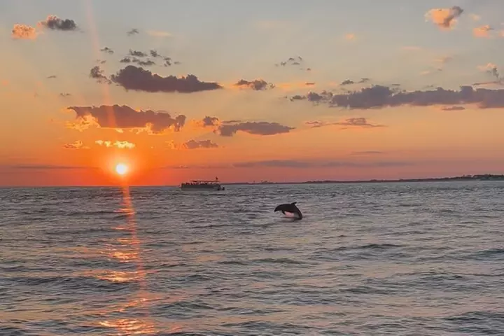 Destin Private Boat Tours Dolphin Crab Island Snorkel Sunset