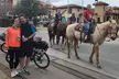Stockyards Guided eBike Extended Tour - Second Medium